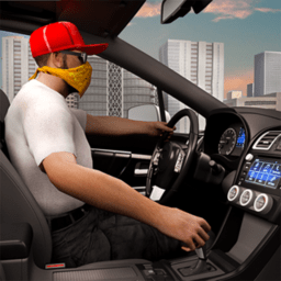 真实泊车大师官方版