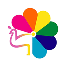 魅力版纳app