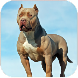 比特犬模拟器手机版